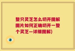 整只灵芝怎么切开图解图片如何正确切开一整个灵芝—详细图解)
