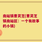南站镇曹灵芝(曹灵芝镇南站区：一个有故事的小镇)