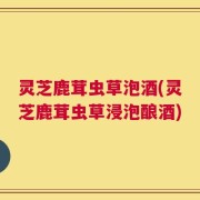 灵芝鹿茸虫草泡酒(灵芝鹿茸虫草浸泡酿酒)