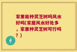 家里能种灵芝树吗风水好吗(家居风水好处多，家里种灵芝树可行吗？)