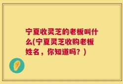 宁夏收灵芝的老板叫什么(宁夏灵芝收购老板姓名，你知道吗？)