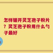 怎样锯开灵芝孢子粉片？灵芝孢子粉用什么勺子最好