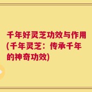 千年好灵芝功效与作用(千年灵芝：传承千年的神奇功效)