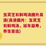 玉灵芝石斛鸡汤图片高清(高清图片：玉灵芝石斛鸡汤，延年益寿，养生首选)