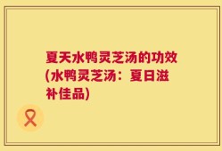 夏天水鸭灵芝汤的功效(水鸭灵芝汤：夏日滋补佳品)