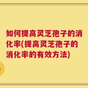 如何提高灵芝孢子的消化率(提高灵芝孢子的消化率的有效方法)