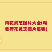 荷花灵芝图片大全(精美荷花灵芝图片集锦)