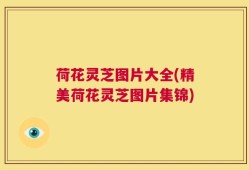 荷花灵芝图片大全(精美荷花灵芝图片集锦)