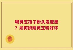 喝灵芝孢子粉头发变黑？如何辨别灵芝粉好坏