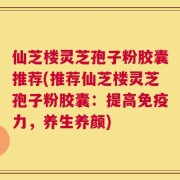 仙芝楼灵芝孢子粉胶囊推荐(推荐仙芝楼灵芝孢子粉胶囊：提高免疫力，养生养颜)