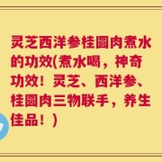灵芝西洋参桂圆肉煮水的功效(煮水喝，神奇功效！灵芝、西洋参、桂圆肉三物联手，养生佳品！)