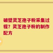破壁灵芝孢子粉采集过程？灵芝孢子粉的制作配方