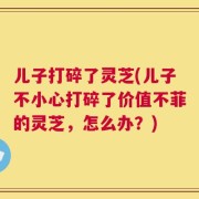 儿子打碎了灵芝(儿子不小心打碎了价值不菲的灵芝，怎么办？)