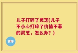 儿子打碎了灵芝(儿子不小心打碎了价值不菲的灵芝，怎么办？)