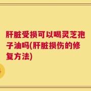 肝脏受损可以喝灵芝孢子油吗(肝脏损伤的修复方法)