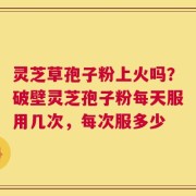 灵芝草孢子粉上火吗？破壁灵芝孢子粉每天服用几次，每次服多少