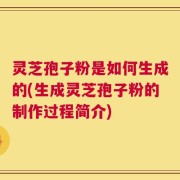 灵芝孢子粉是如何生成的(生成灵芝孢子粉的制作过程简介)