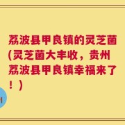 荔波县甲良镇的灵芝菌(灵芝菌大丰收，贵州荔波县甲良镇幸福来了！)