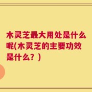 木灵芝最大用处是什么呢(木灵芝的主要功效是什么？)