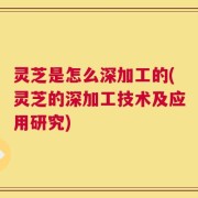 灵芝是怎么深加工的(灵芝的深加工技术及应用研究)