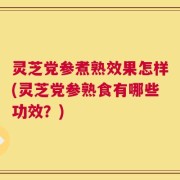 灵芝党参煮熟效果怎样(灵芝党参熟食有哪些功效？)