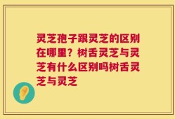 灵芝孢子跟灵芝的区别在哪里？树舌灵芝与灵芝有什么区别吗树舌灵芝与灵芝