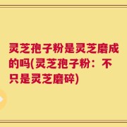 灵芝孢子粉是灵芝磨成的吗(灵芝孢子粉：不只是灵芝磨碎)