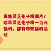 采集灵芝孢子粉图片？瑞草灵芝孢子粉一百元福利，都有哪些福利活动