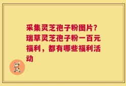 采集灵芝孢子粉图片？瑞草灵芝孢子粉一百元福利，都有哪些福利活动
