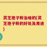 灵芝孢子粉治啥的(灵芝孢子粉的好处及用途)