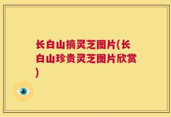 长白山摘灵芝图片(长白山珍贵灵芝图片欣赏)
