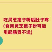 吃灵芝孢子粉后肚子疼(食用灵芝孢子粉可能引起肠胃不适)