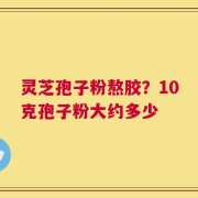 灵芝孢子粉熬胶？10克孢子粉大约多少