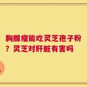 胸腺瘤能吃灵芝孢子粉？灵芝对肝脏有害吗