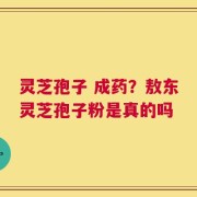 灵芝孢子 成药？敖东灵芝孢子粉是真的吗