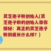 灵芝孢子粉创始人(灵芝孢子粉的创始人带你探秘：真正的灵芝孢子粉到底长什么样？)