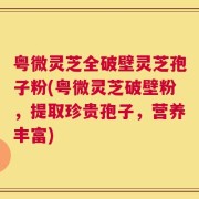 粤微灵芝全破壁灵芝孢子粉(粤微灵芝破壁粉，提取珍贵孢子，营养丰富)