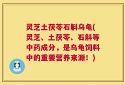 灵芝土茯苓石斛乌龟(灵芝、土茯苓、石斛等中药成分，是乌龟饲料中的重要营养来源！)