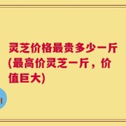 灵芝价格最贵多少一斤(最高价灵芝一斤，价值巨大)