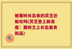 板栗树长出来的灵芝还能吃吗(灵芝登上新高度：栗树之上长出美食新品)