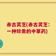 赤古灵芝(赤古灵芝：一种珍贵的中草药)
