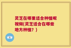 灵芝在哪里适合种植呢视频(灵芝适合在哪些地方种植？)
