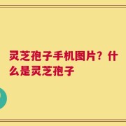灵芝孢子手机图片？什么是灵芝孢子