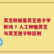 灵芝粉就是灵芝孢子学粉鸿 ？人工种植灵芝与灵芝孢子粉区别