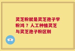 灵芝粉就是灵芝孢子学粉鸿 ？人工种植灵芝与灵芝孢子粉区别
