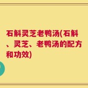 石斛灵芝老鸭汤(石斛、灵芝、老鸭汤的配方和功效)