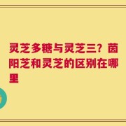 灵芝多糖与灵芝三？茵阳芝和灵芝的区别在哪里