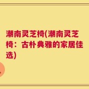 潮南灵芝椅(潮南灵芝椅：古朴典雅的家居佳选)