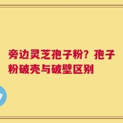 旁边灵芝孢子粉？孢子粉破壳与破壁区别