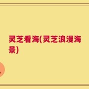 灵芝看海(灵芝浪漫海景)